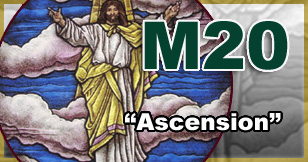 stained glass window medallion M20